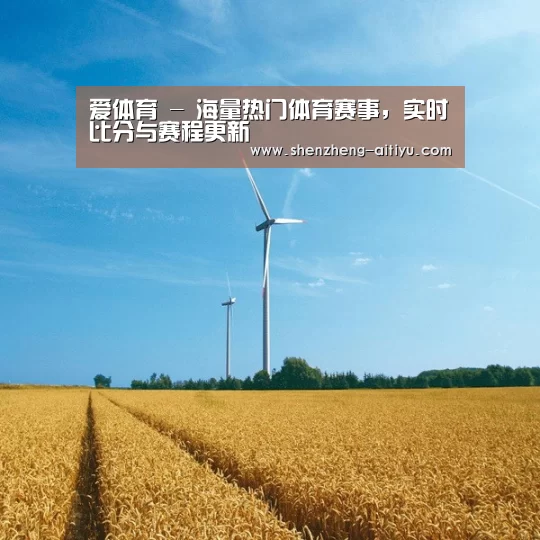 风能