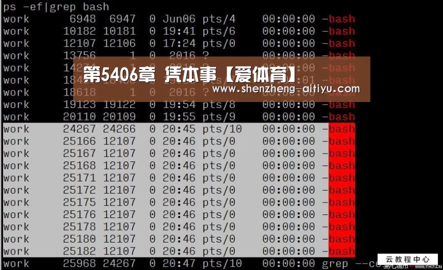 第5406章 凭本事【爱体育】(图2) 爱体育官方网站