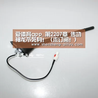 爱体育app_第2207章 传功神龙不死身!(求订阅!)(图4) 爱体育
