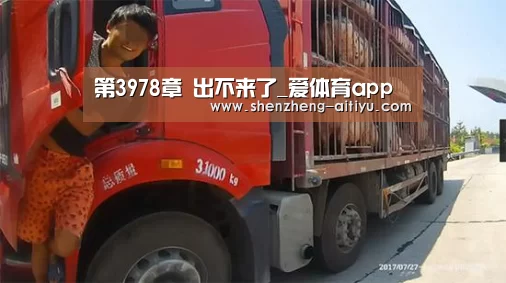 第3978章 出不来了_爱体育app(图3) 爱体育